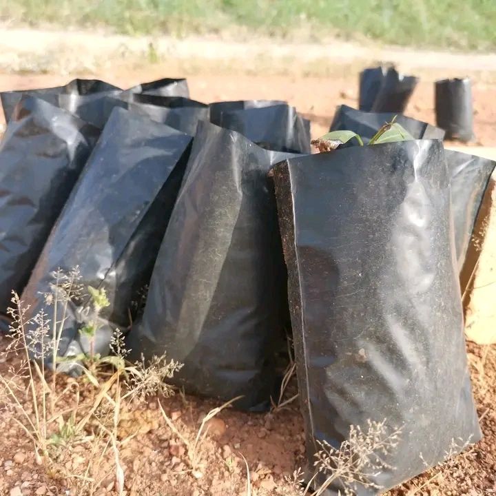 Eco-friendly packaging materials